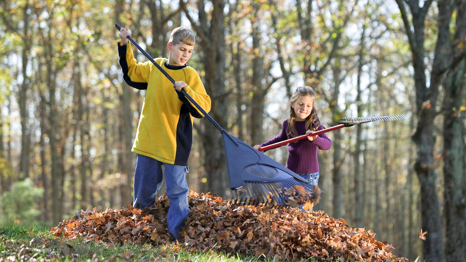 Easy Fall Fundraising Ideas for Schools, Families and Community Groups