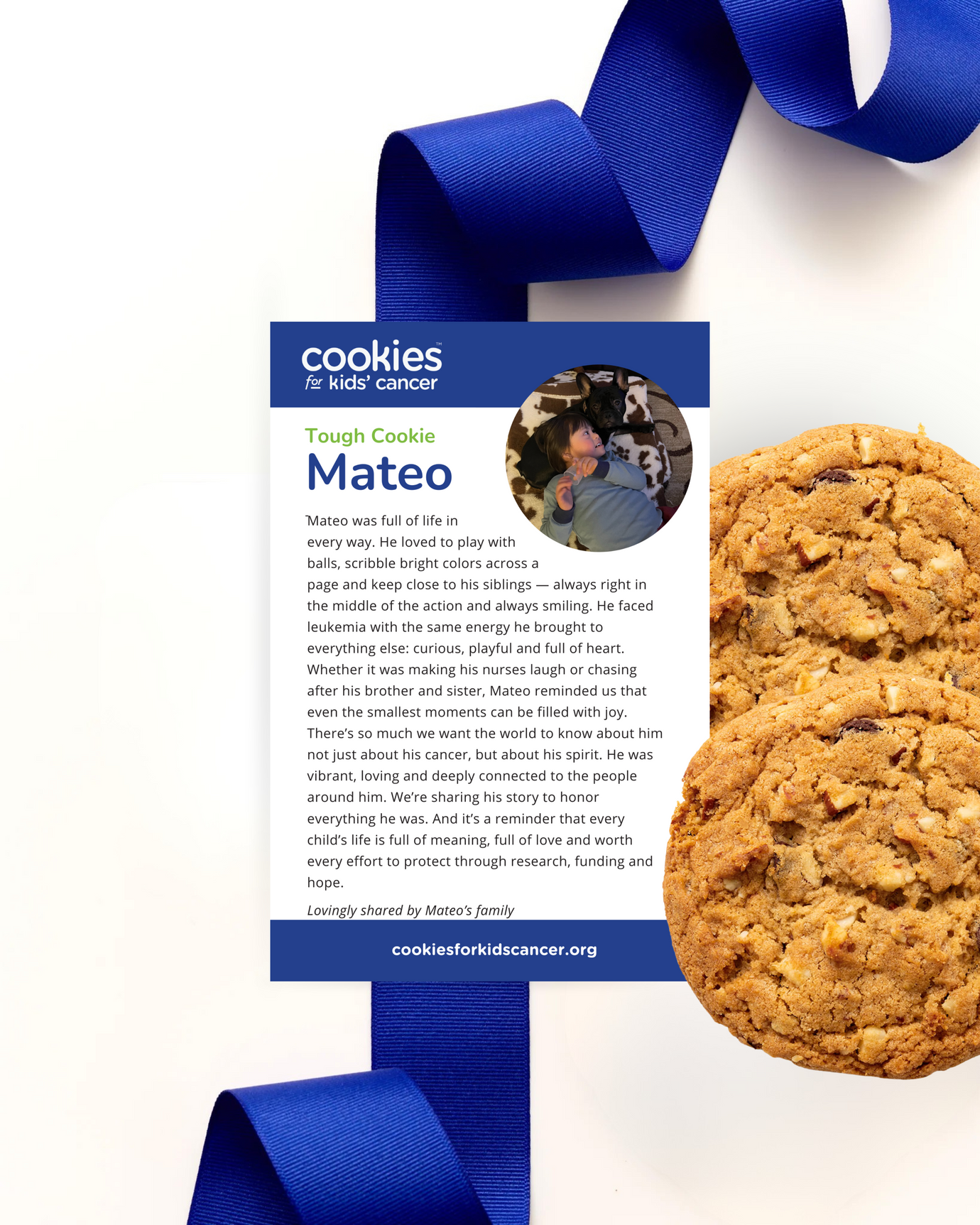 Mateo's Chocolate Almond Crunch Cookies