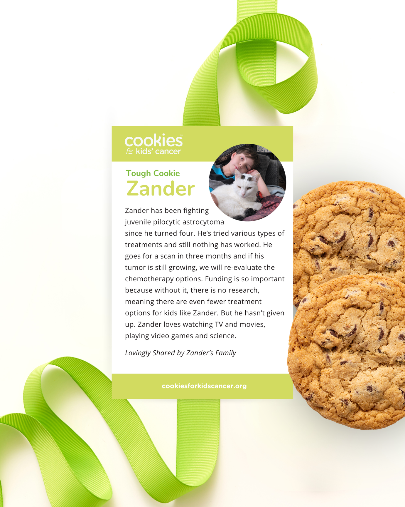 Zander's Chocolate Chip Extravaganza